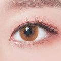  DODO Brown Colored Contacts