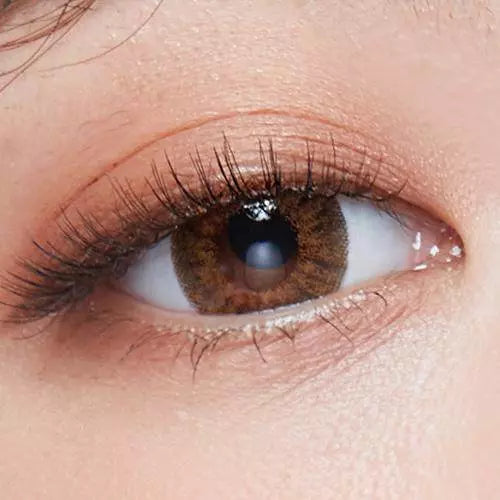 Back to Basic July Brown Colored Contacts