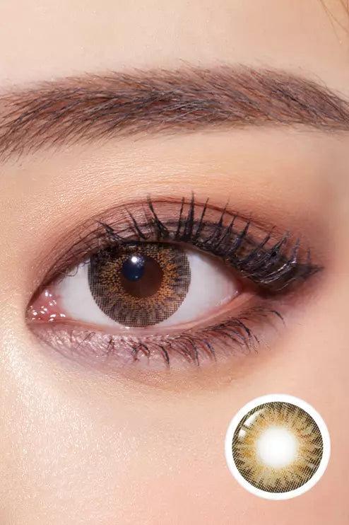 Swan Choco (2pcs / Monthly) Colored Contacts