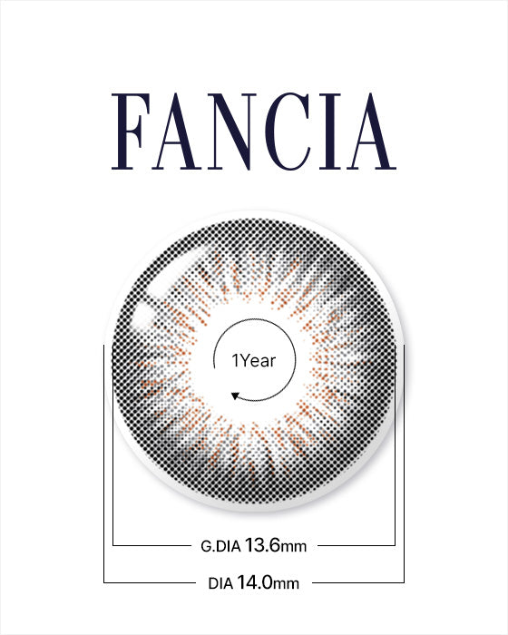 Fancia Silver Gray - LENSTOWNUS