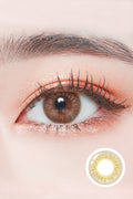  Lighly Pure Brown Colored Contacts